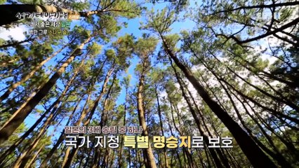 세계테마기행 - 맛나서 좋은 세상- 열도의 맛, 일본 규슈_#001