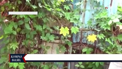 Akses Jalan Rumah Ditembok, Warga Gunakan Tangga