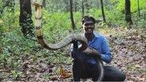 Profesyonel yılan avcısını 251. kez kobra ısırdı! Ölümden son anda kurtuldu