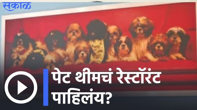 Chennai | चेन्नईला गेलात की ‘ट्विस्टी टेल्स’ला भेट द्या! | Sakal Media |