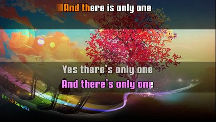 KARAOKE Sting feat Shaggy - Just one lifetime