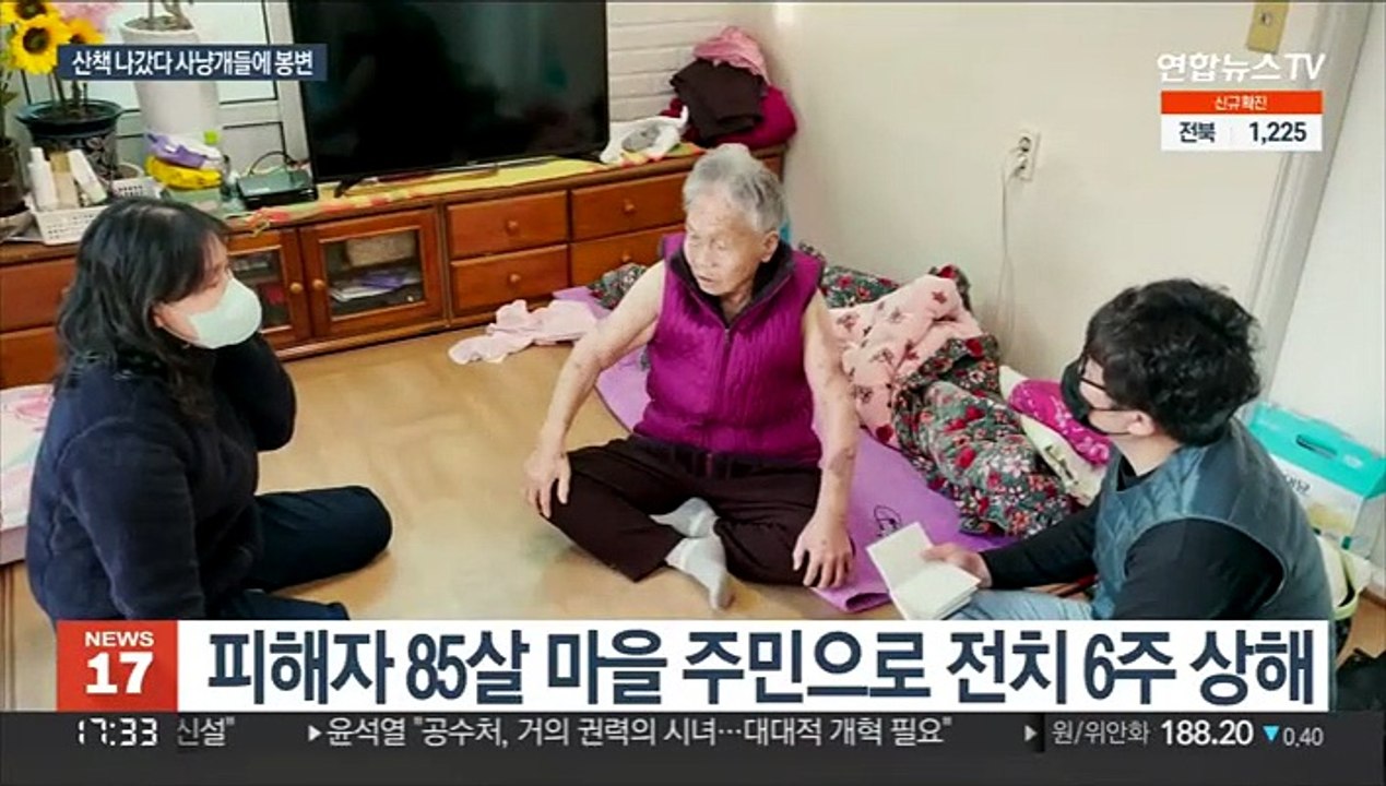 사냥개 세 마리 산책 나온 80대 물어…"살아계신게 다행"