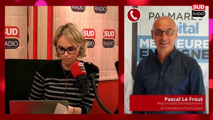 Sud Radio à votre service - Pascal Le Frout, Responsable Développement et Formations chez Ecolave
