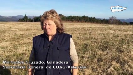 Mercedes Cruzado, secretaria general de COAG Asturias