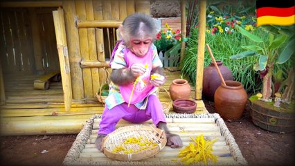 BiBi helps dad take care of ducklings and harvest fruit