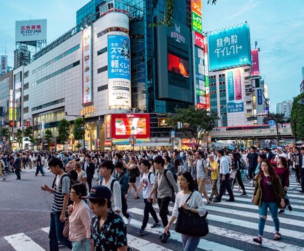 ¿Es el ser humano una especie invasora?