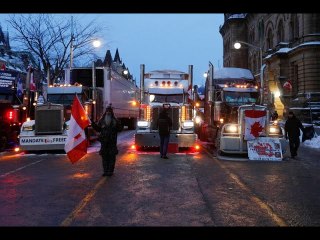 Florida governor to investigate GoFundMe over Canada trucker donations