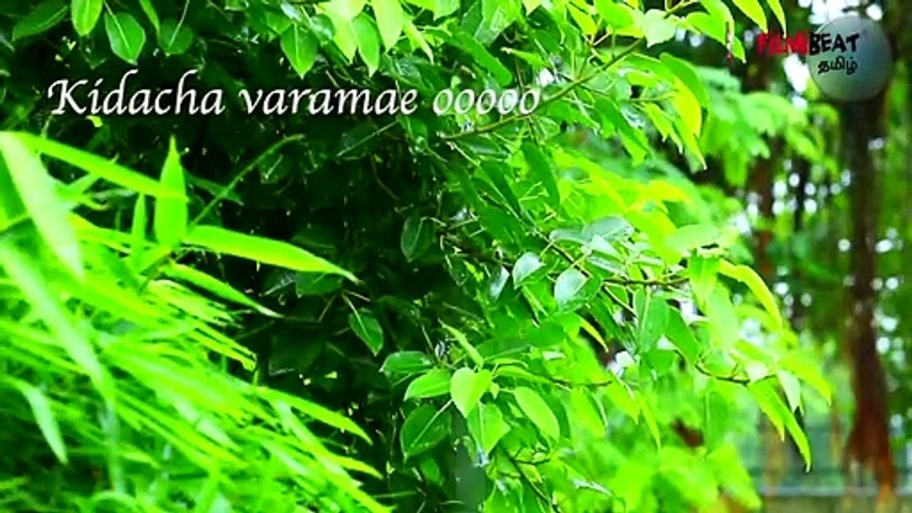 Naan Pizhai Nee Mazhai | Kaathuvaakula Rendu Kaadhal