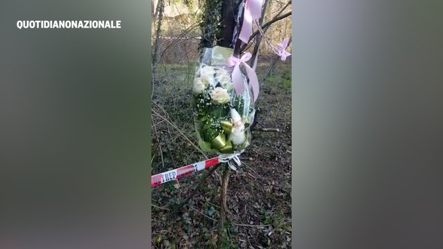 Liliana Resinovich, nel bosco dov'è stato ritrovato il cadavere
