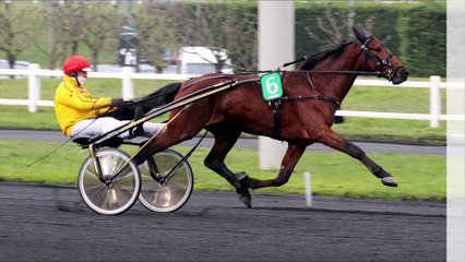 Pronostic pour le Quinté PMU du mercredi 9 février 2022