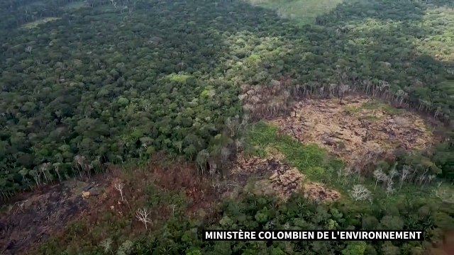 Colombie: des feux en Amazonie touchent 10.000 hectares de forêt