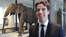 Défense fossile en Mer du Nord: "Une histoire incroyable" pour Thomas Dermine