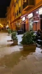 Esto es lo que se hace en Italia con los establecimientos que se pliegan al poder, se les boicotea