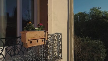 Découvrez Jacques Moineau, le premier jardinichoir en bois, fabriqué en France