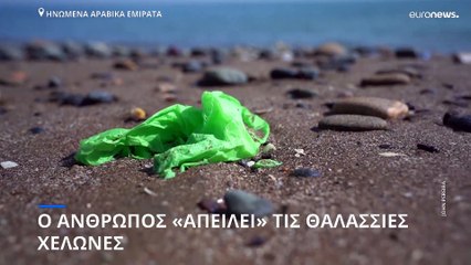 Ο άνθρωπος «σκοτώνει» τις θαλάσσιες χελώνες