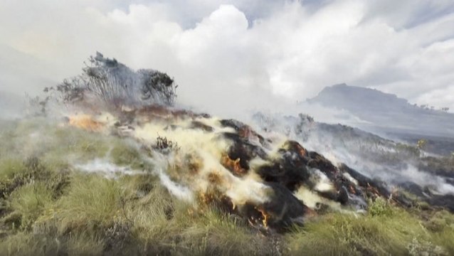 Firefighters and volunteers struggle to control brushfire in Kenya