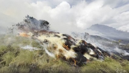 Firefighters and volunteers struggle to control brushfire in Kenya
