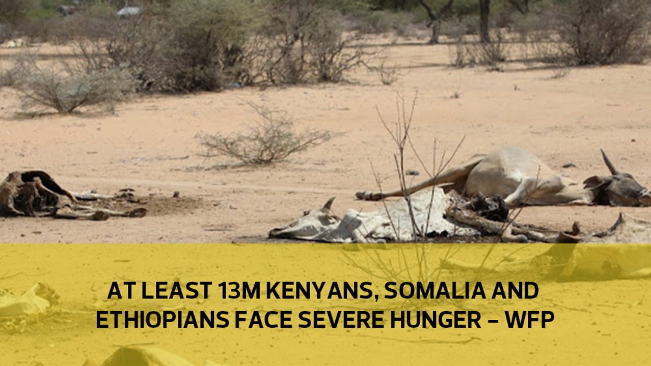 At least 13m Kenyans, Somalia and Ethiopians face severe hunger - WFP