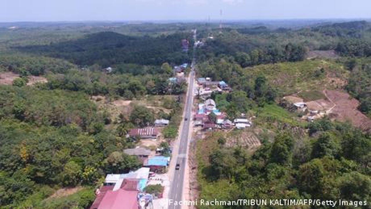 Indonesian environmentalists doubt sustainability of capital city relocation