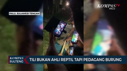 Tili  Saya Bukan Ahli Reptil