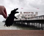 Rampage x Paperboyo: Crocodile attacks Brighton Pier