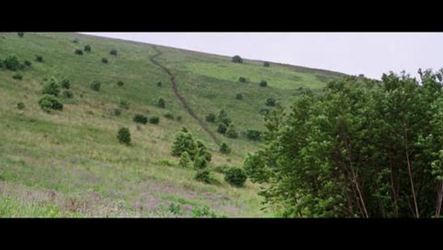 A Walk In The Woods Exclusive Interview With Bill Bryson