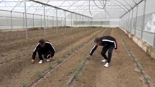 Uyuşturucu bağımlıları Huzur Köy'de yeniden hayata tutunuyor
