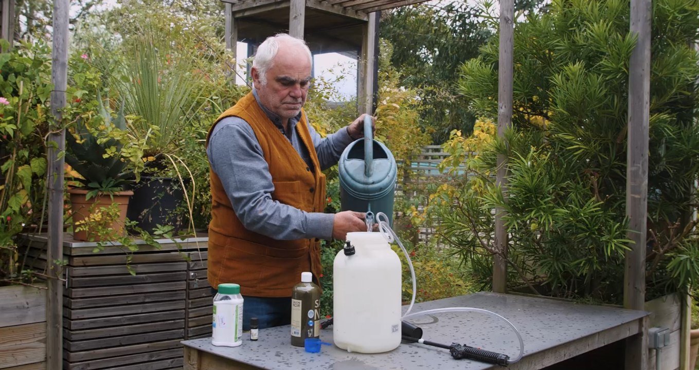 Comment traiter de façon naturelle les maladies et insectes sur les plantes ? (Vidéo)