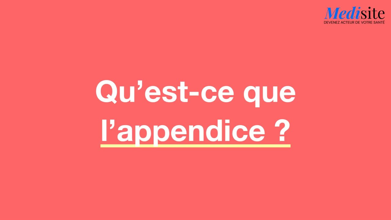Qu'est-ce que l'appendice ?