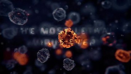 Tom Clancy's The Division - Collapse Trailer