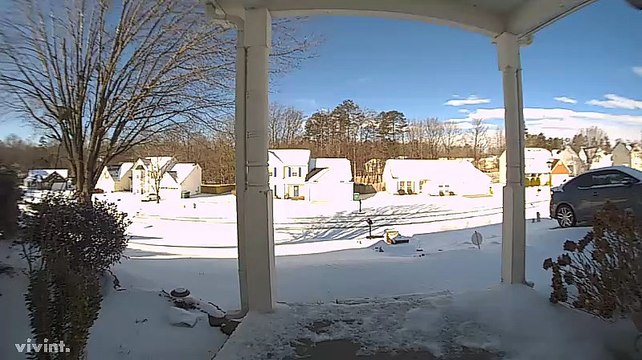 Wife Slides Down Steep and Slippery Driveway