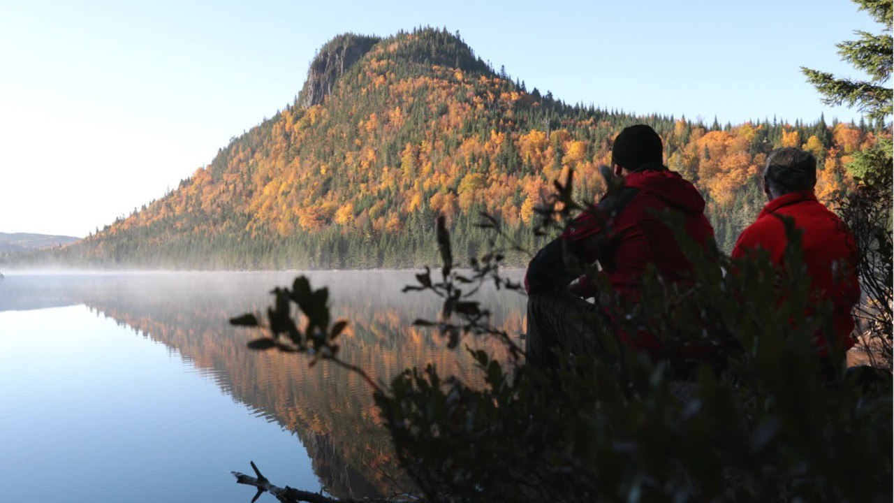 Au Canada, les médecins peuvent prescrire des "bains de forêt" pour soigner