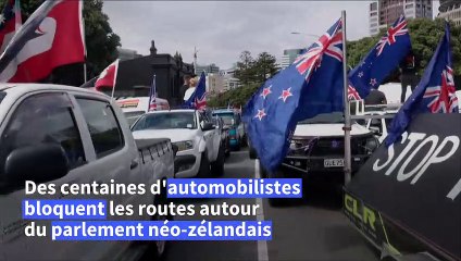 Nouvelle-Zélande: des camions autour du Parlement pour protester contre les mesures sanitaires