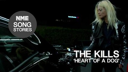 The Kills, 'Heart Of A Dog' - NME Song Stories