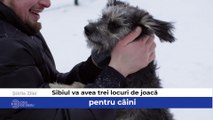 Stirile zilei sunt despre - Sibiul va avea trei locuri de joacă pentru câini, Se reiau cursele aeriene de la Sibiu spre Antalya și Hurghada şi Creștere a ordinelor de protecție emise la Sibiu în 2021