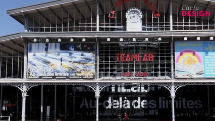 TeamLab l'expo onirique qui célèbre le Japon