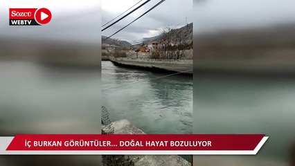 Tortum Şelalesi'nin suyunu kestiler.. Dünyaca ünlü çağlayan özelleştirme kurbanı!