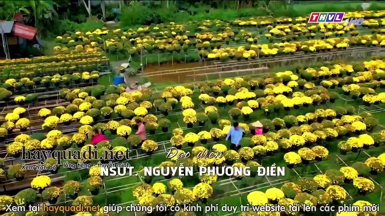 tình thắm duyên xuân tập 8 - THVL1 - phim tinh tham duyen xuan tap 9