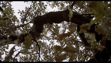 The Falling - NME Exclusive Clip