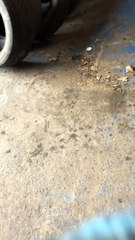 Sludge Backfires into Guys Face