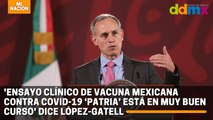'Ensayo clínico de vacuna mexicana contra covid-19 ‘Patria’ está en muy buen curso' dice López-Gatell