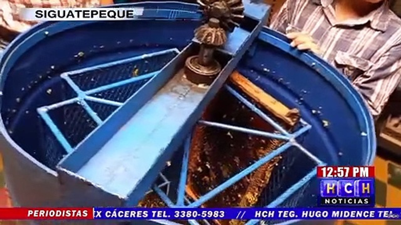 “Don Chaguito” y su familia se dedican a la apicultura produciendo la mejor miel de Siguatepeque