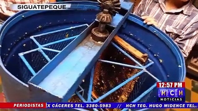 “Don Chaguito” y su familia se dedican a la apicultura produciendo la mejor miel de Siguatepeque