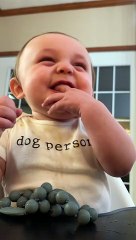 Baby Belly Laughing at Dad's Funny Faces