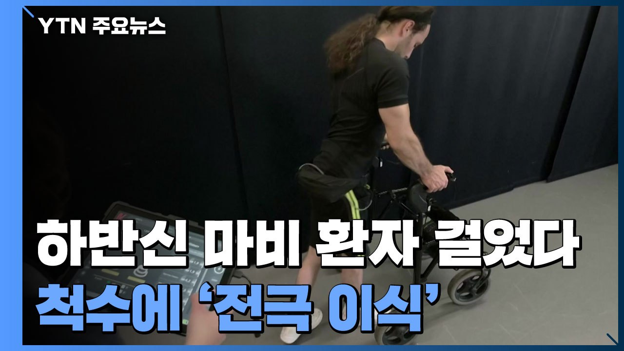 하반신 마비 환자들 걸었다...척수에 전극 이식 / YTN