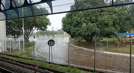 Vídeo mostra forte chuva no Guará na tarde desta terça-feira (8/2)