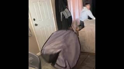 Pup Pursues Person in Playpen