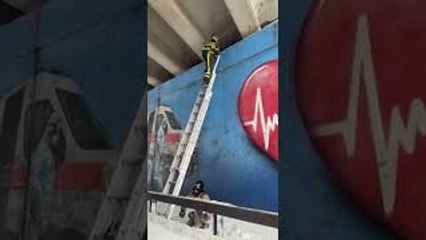 Rescuing a Dog in Tight Spot Underneath Bridge