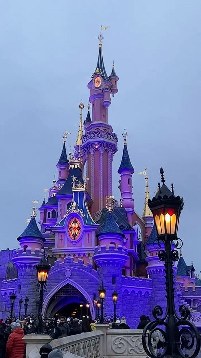 Disneyland Fans Chaine #5