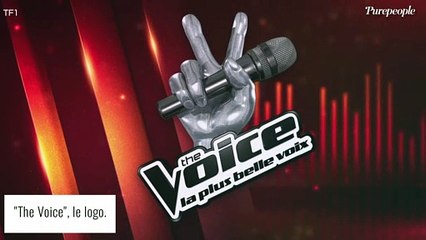 The Voice : Une ex-candidate défigurée à cause d'injections, "c'est douloureux"